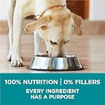 Purina ONE Dry Dog Food, +Plus Large Breed with Chicken - 14 kg Bag (1 Pack)