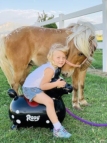 Miniatura 5 de Gymnic Rody Bounce Horse Negro
