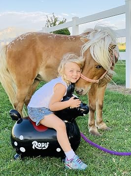 Gymnic Rody Bounce Horse Black