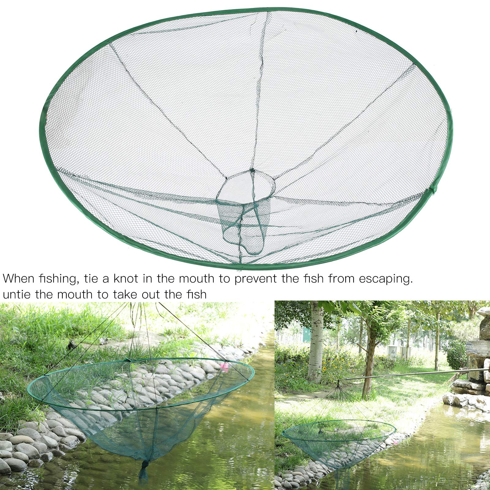 Trappola Per Granchi Pieghevole Professionale – Rete In Nylon E Telaio In Acciaio – 25×45 Cm, Galleggiante – Ideale Per Spiagge, Scogli E Sopravvivenza
