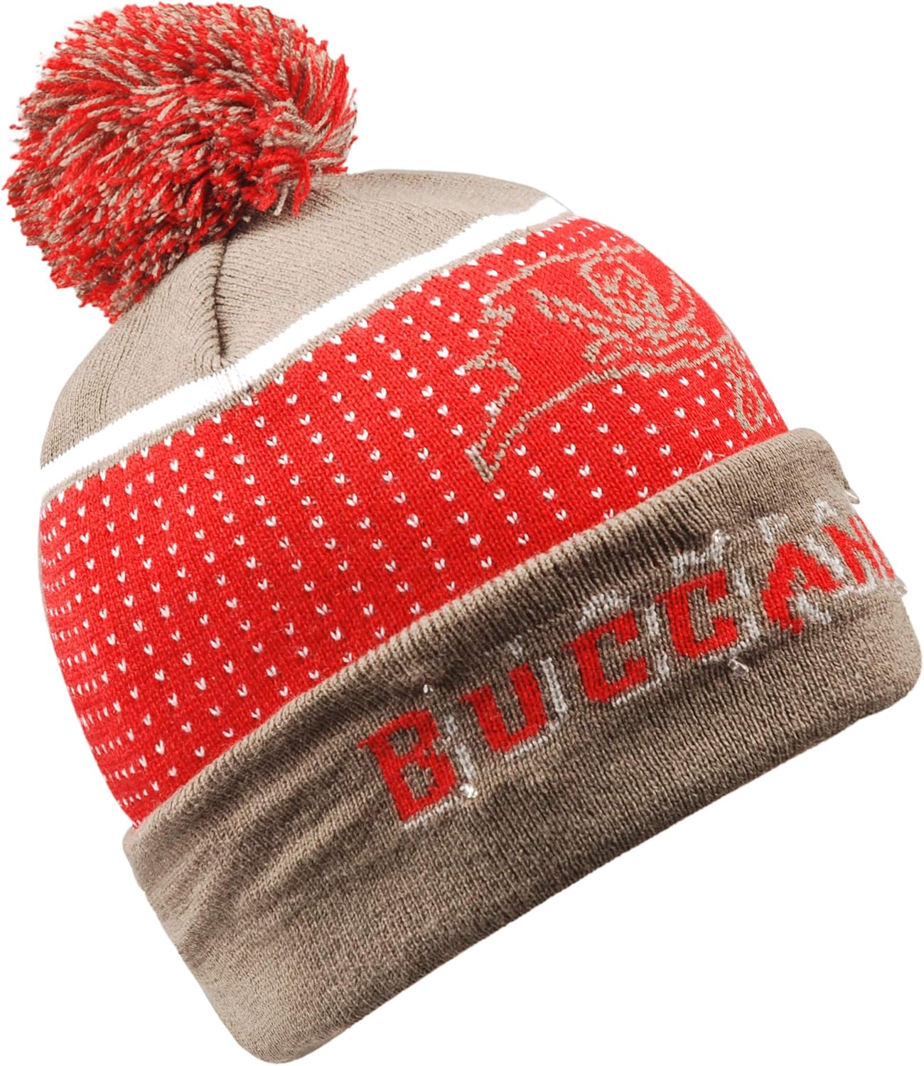 FOCO NFL Knit Light Up Beanie Hat