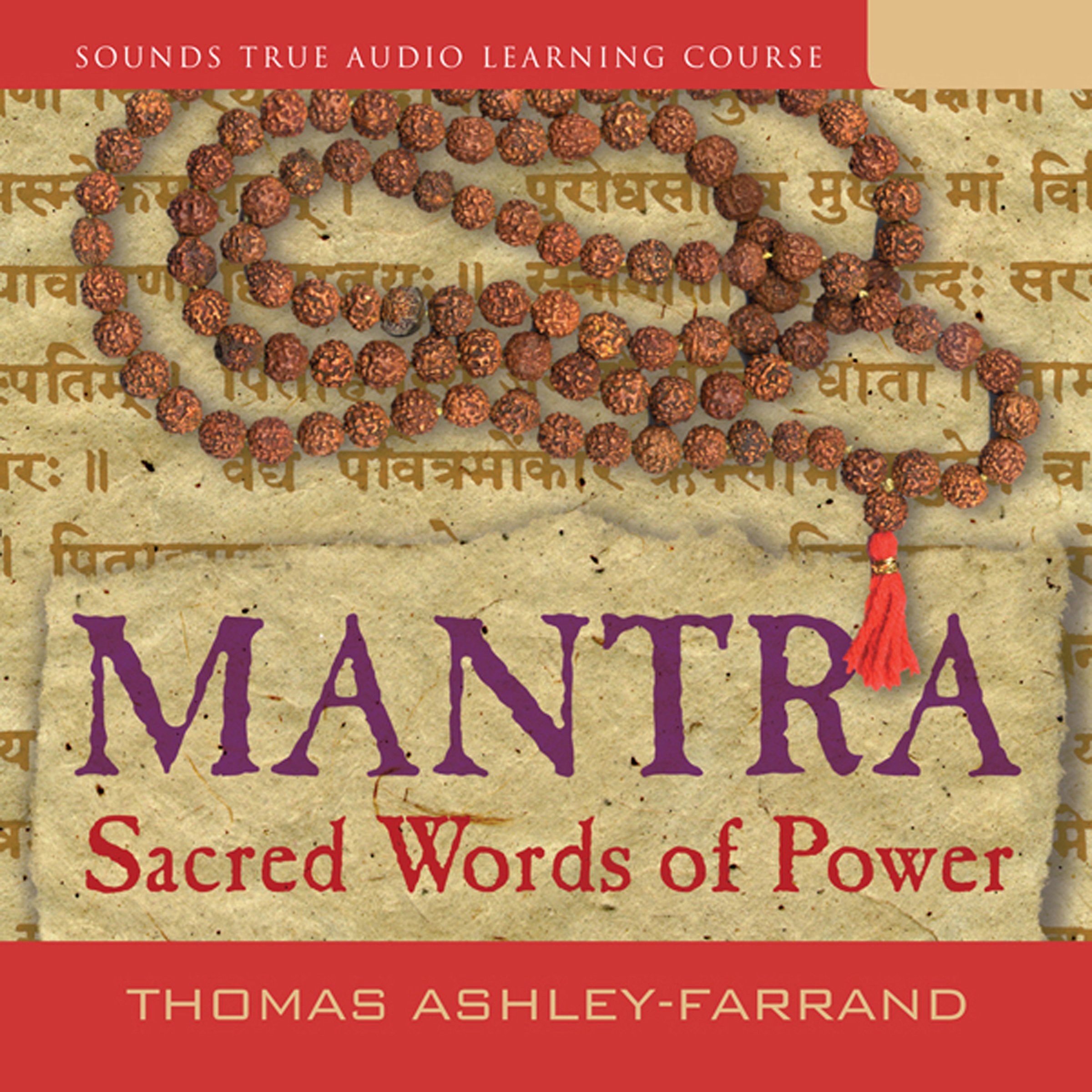 Cover art for Mantra