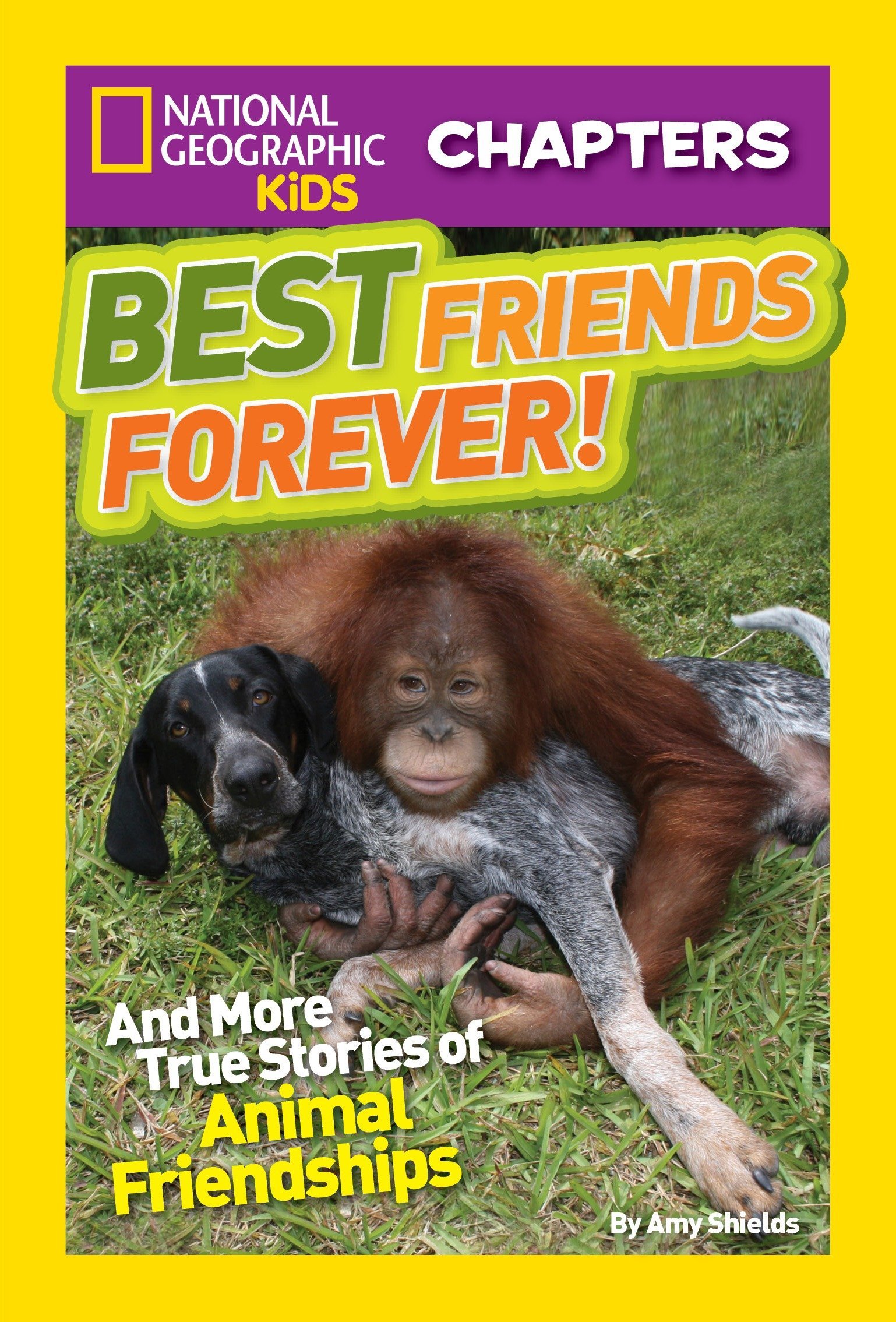 Best Friends Forever!: And More True Stories of Animal Friendships (NGK Chapters)