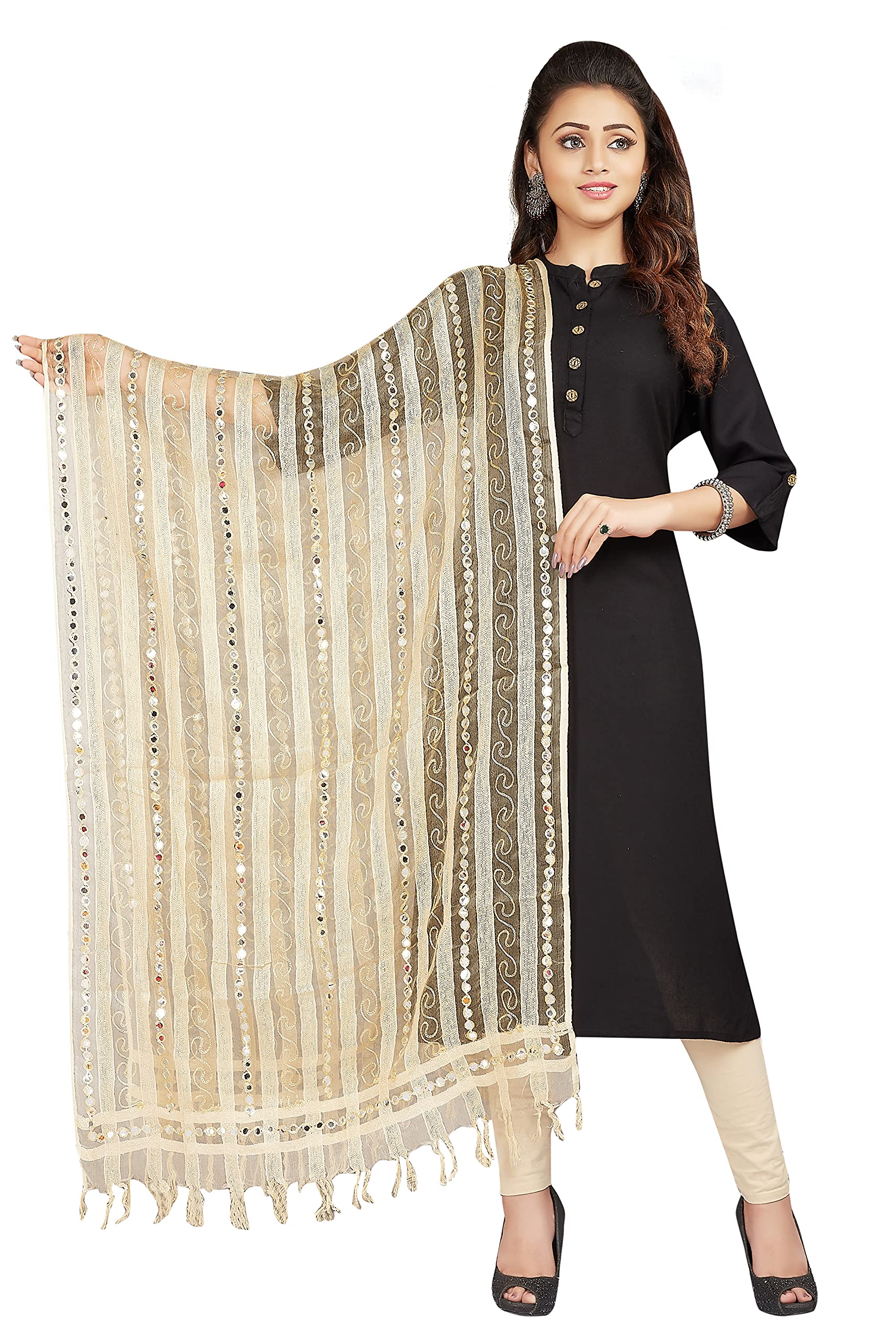 RANI SAAHIBAWomen's Mirror Work Embroidered Tissue Organza Dupatta