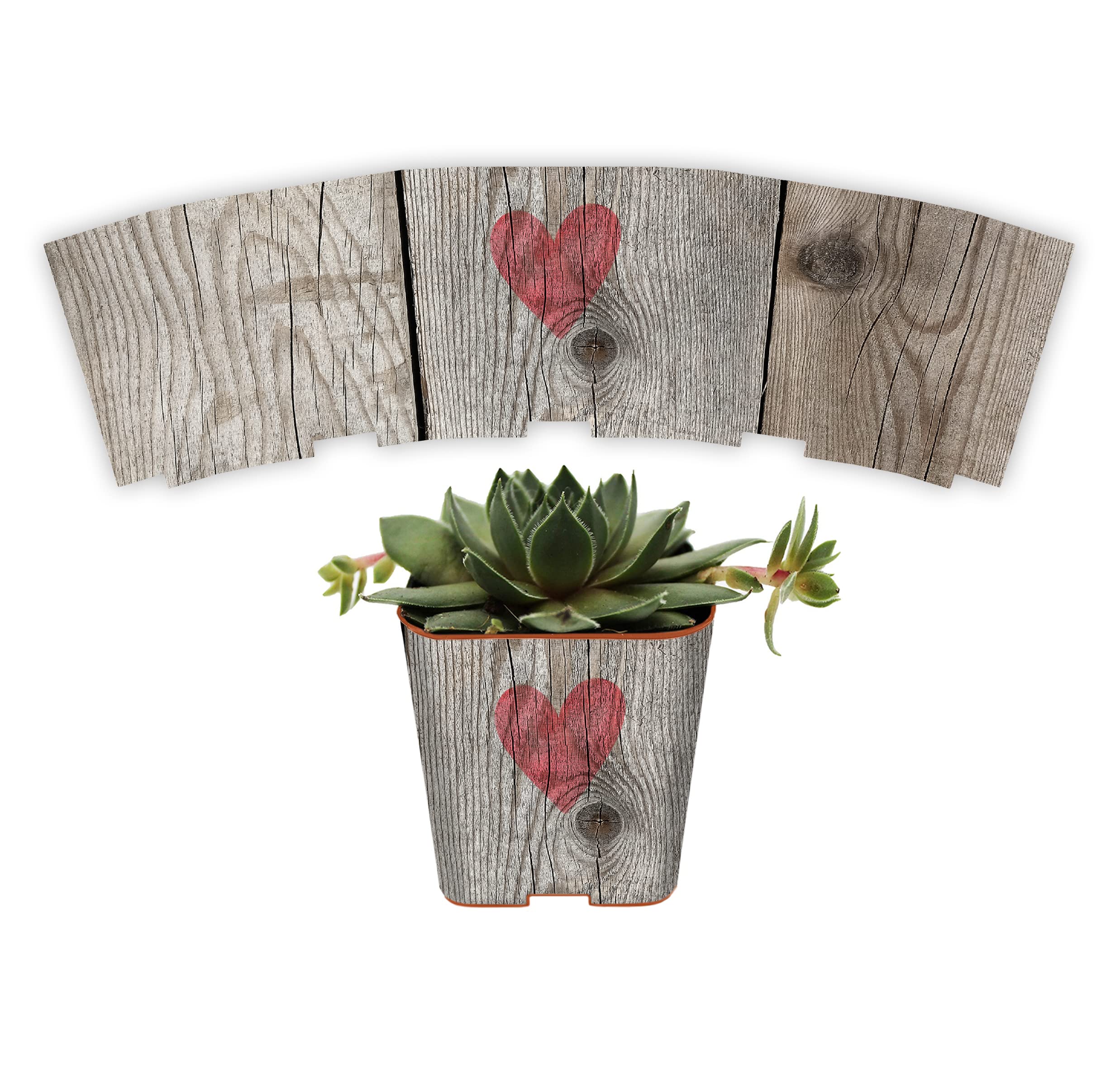Succulent Pot Wrap for Wedding Favors, Engagement | Fits Most 2 Inch Square Pots | Peel and Stick Vinyl | Does Not Include Mini Live Plant or Pot (50 Wraps, Weathered Barnwood With Heart)