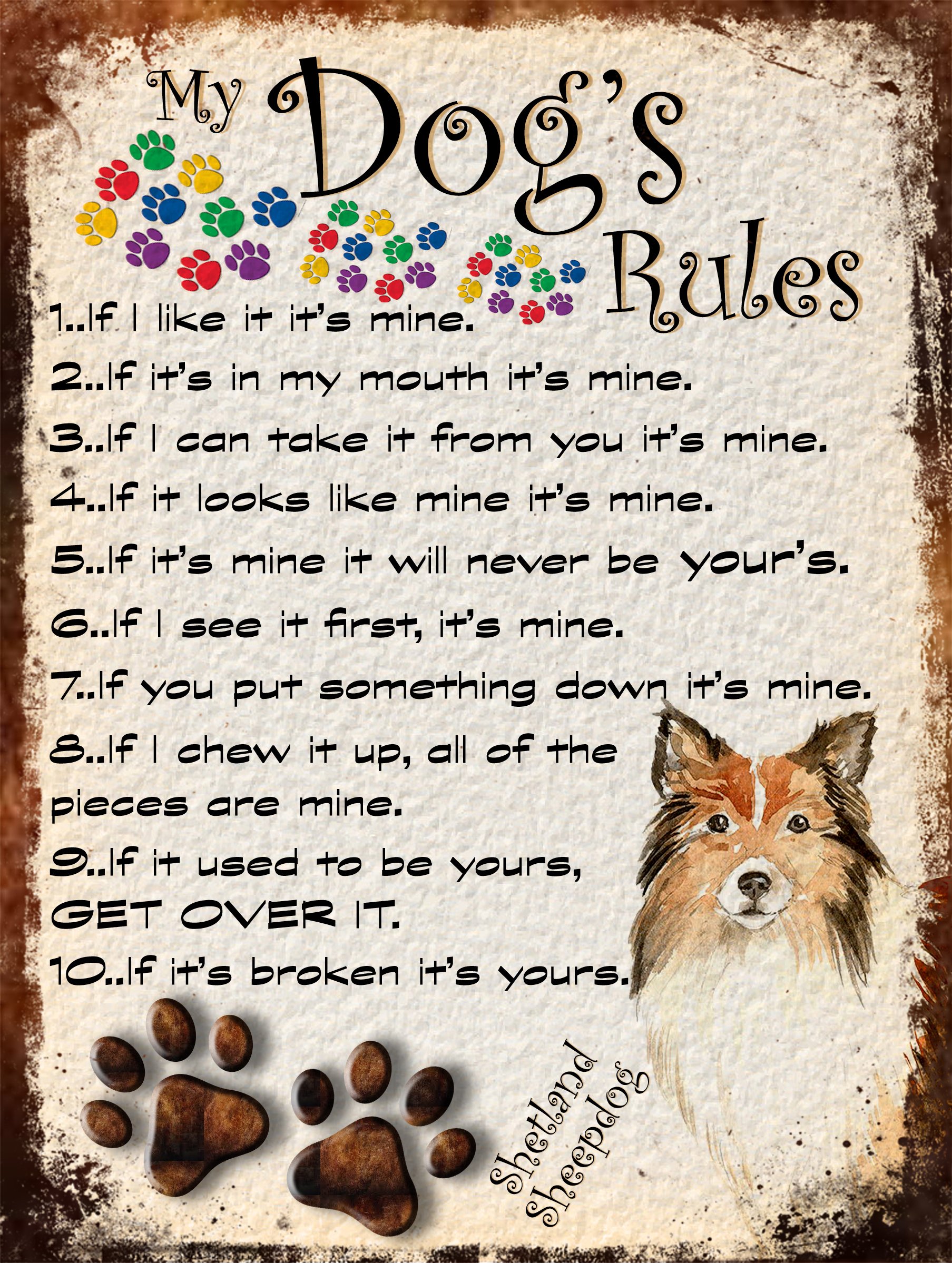 MY DOG'S RULES RETRO STYLE METAL TIN SHETLAND SHEEPDOG SIGN/PLAQUE THEME 10" X 8" (69DRM)
