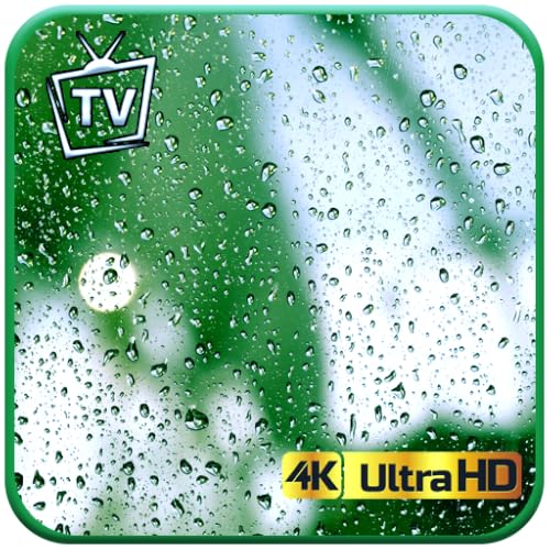 Gentle Rainfall – Cozy Window View Relaxation Screensaver For Fire TV