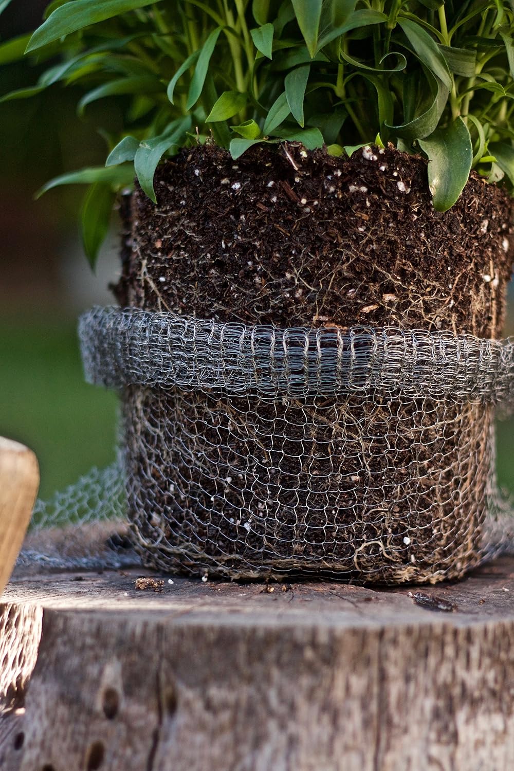 VOLE KING Plant Baskets - Gopher and Vole Baskets, 1 Gallon, Pack of 4 - Protect Plants, Trees, Flowers and Bulbs from Voles, Gophers and Moles - A One Time Solution, No Repellent Needed