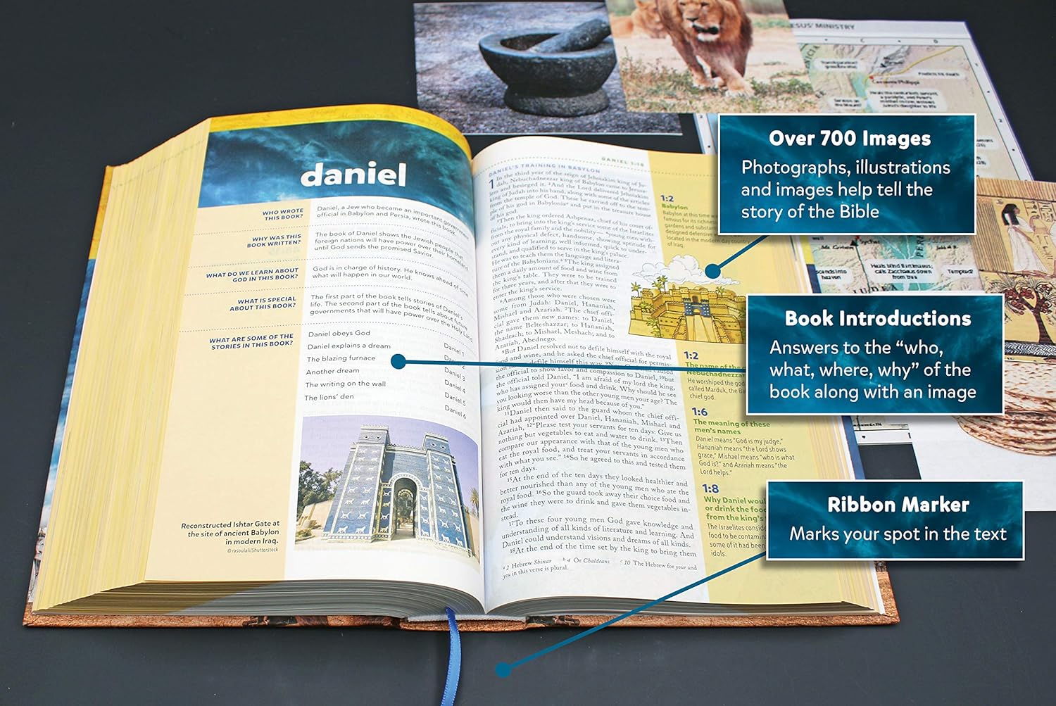 NIV, Kids' Visual Study Bible, Leathersoft, Bronze, Full Color Interior: Explore the Story of the Bible---People, Places, and History      Imitation Leather – Illustrated, June 6, 2017