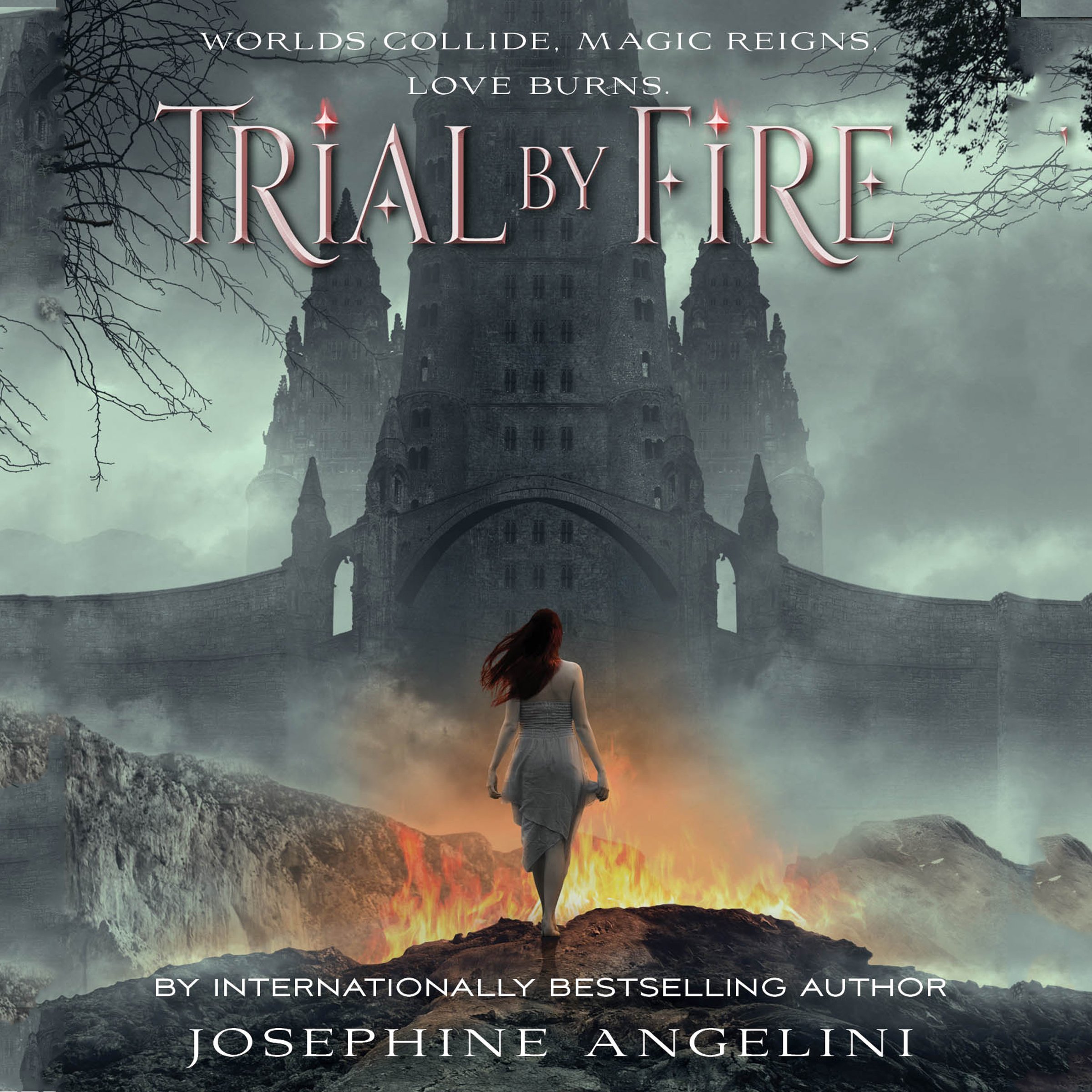 Cover art for Trial by Fire