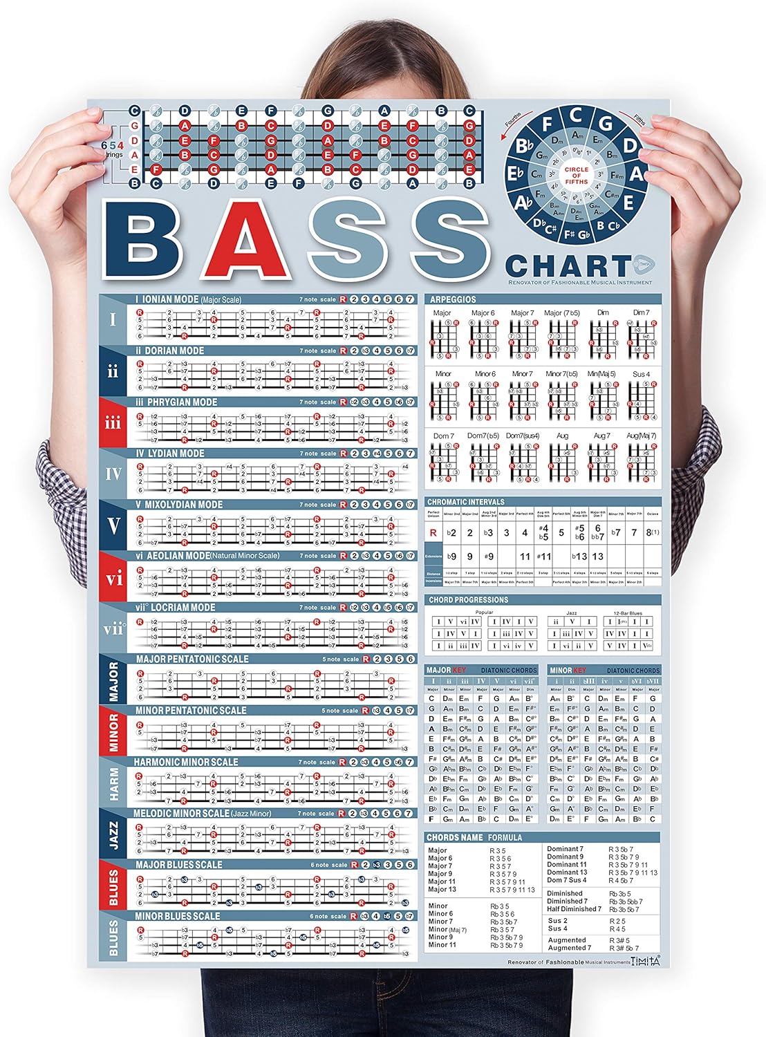 Bass Note Chart of Scale Chords Bass Reference Poster for Beginners