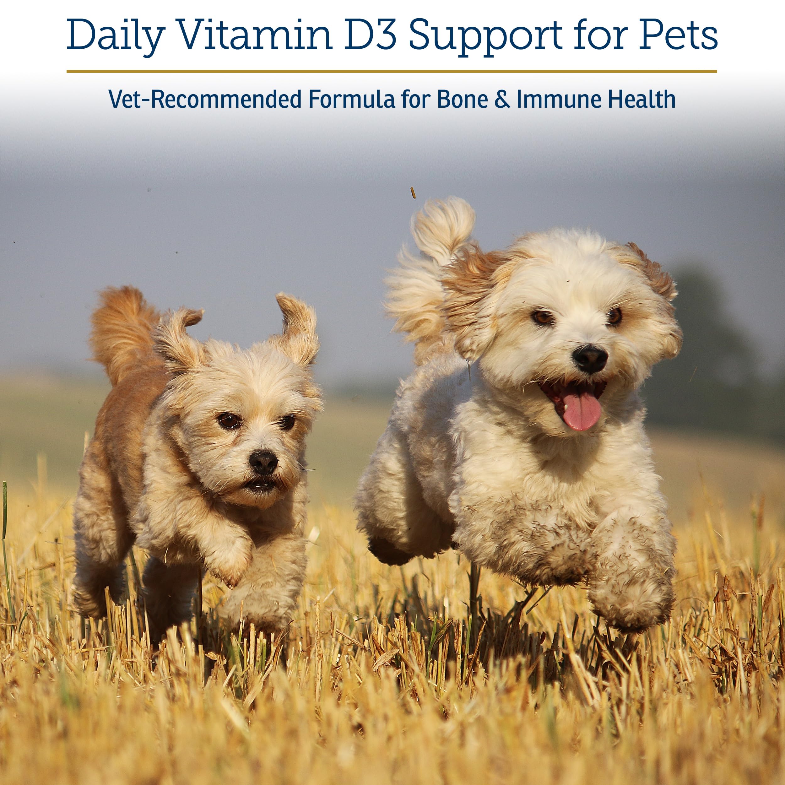 Rx Vitamins Rx D3 - Cat & Dog Vitamins Liquid D3 Drops in MCT Oil - 2oz — Amazon image 2