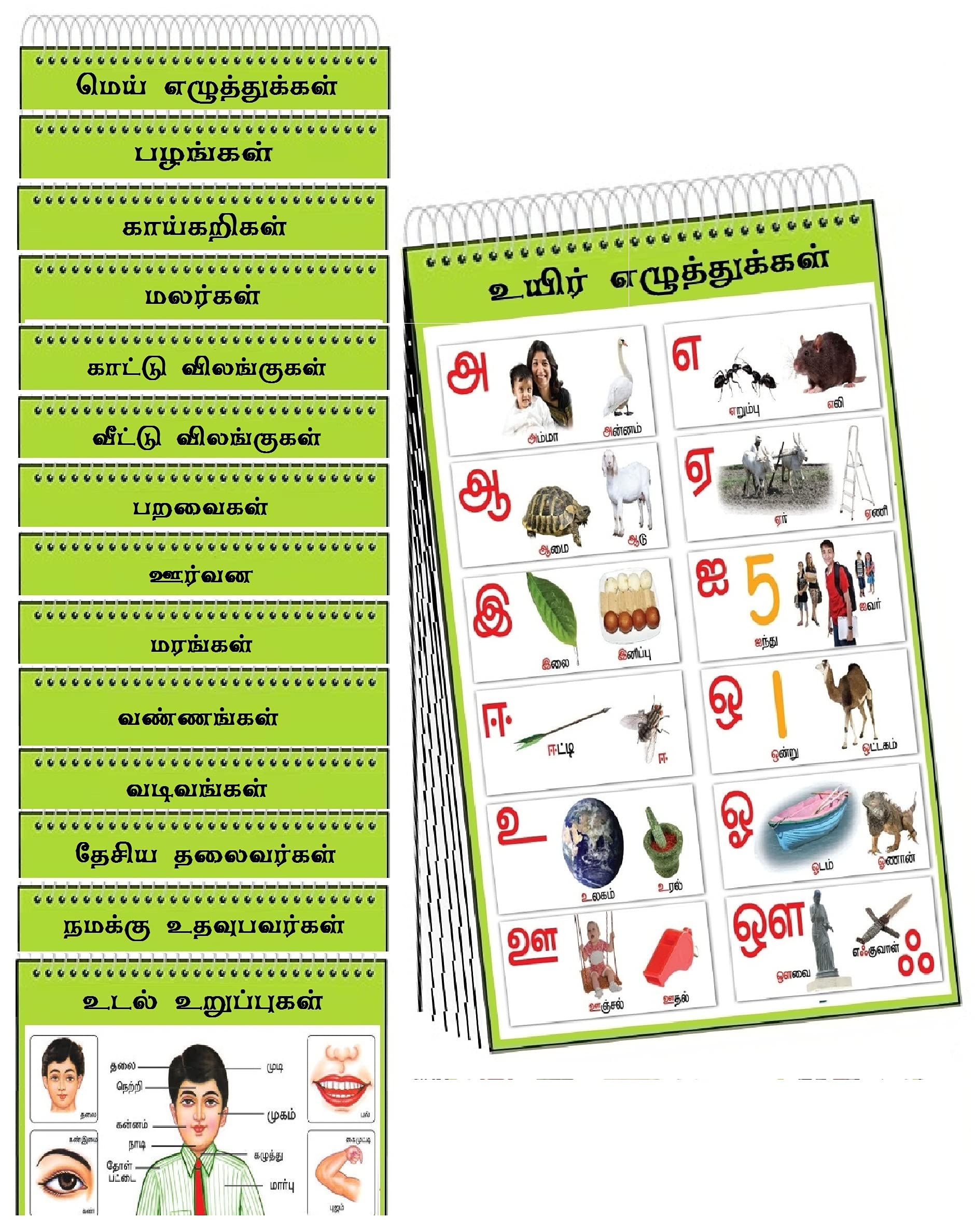 Tamil Chart For Kids 16 Charts 37 X 48 Cm Spiral Wall Chart For Early