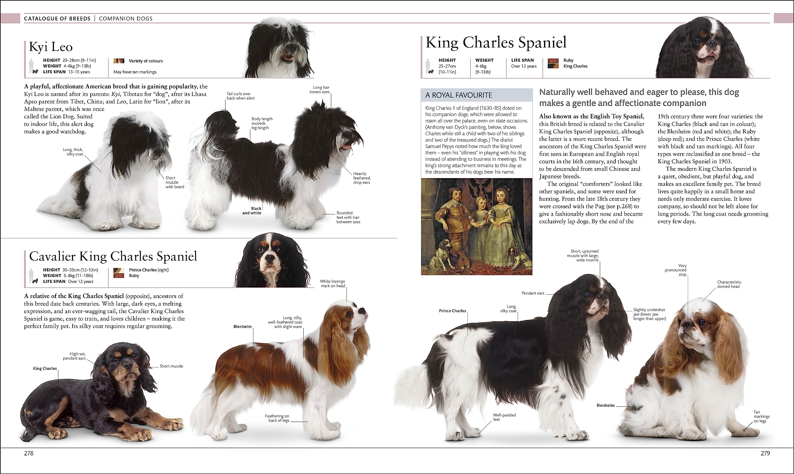 The Dog Encyclopedia: The Definitive Visual Guide
