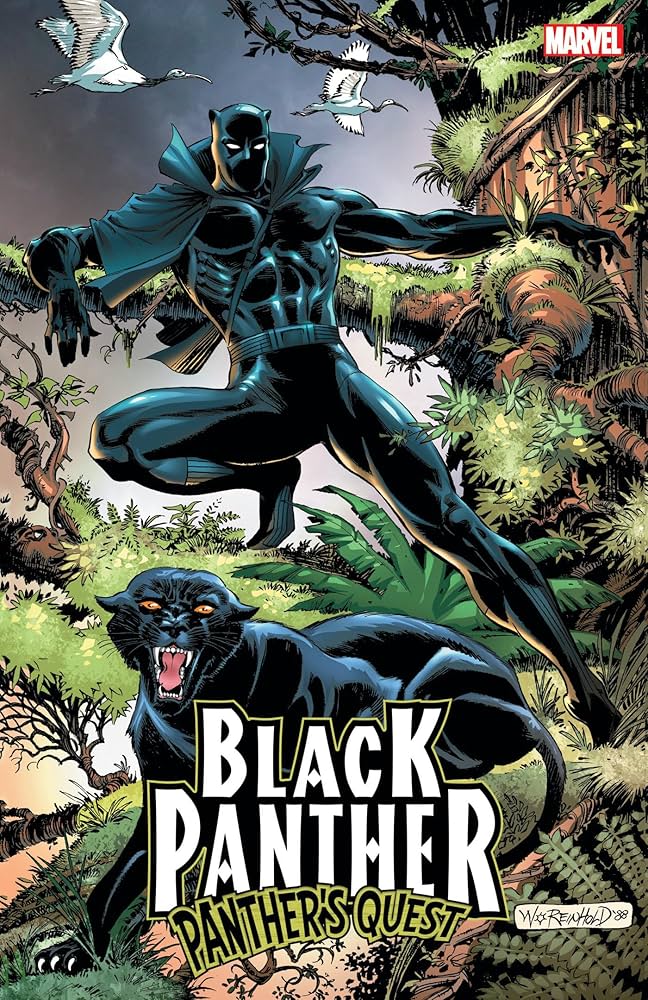 Amazon | Black Panther: Panther's Quest | McGregor, Don