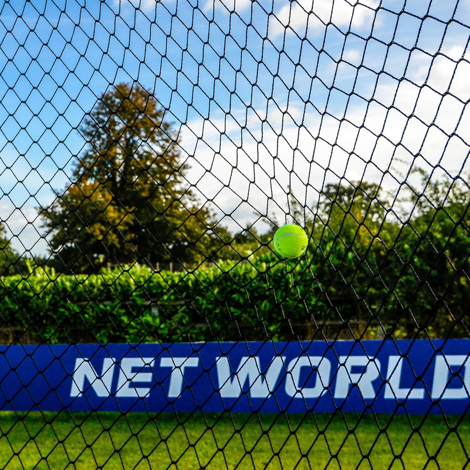 Stop That Ball System [5 Sizes] | Freestanding Ball Stop Netting for Backyard | Soccer Ball Stopping Net System - Behind Goal Soccer Net | Soccer Rebounder : Sports & Outdoors