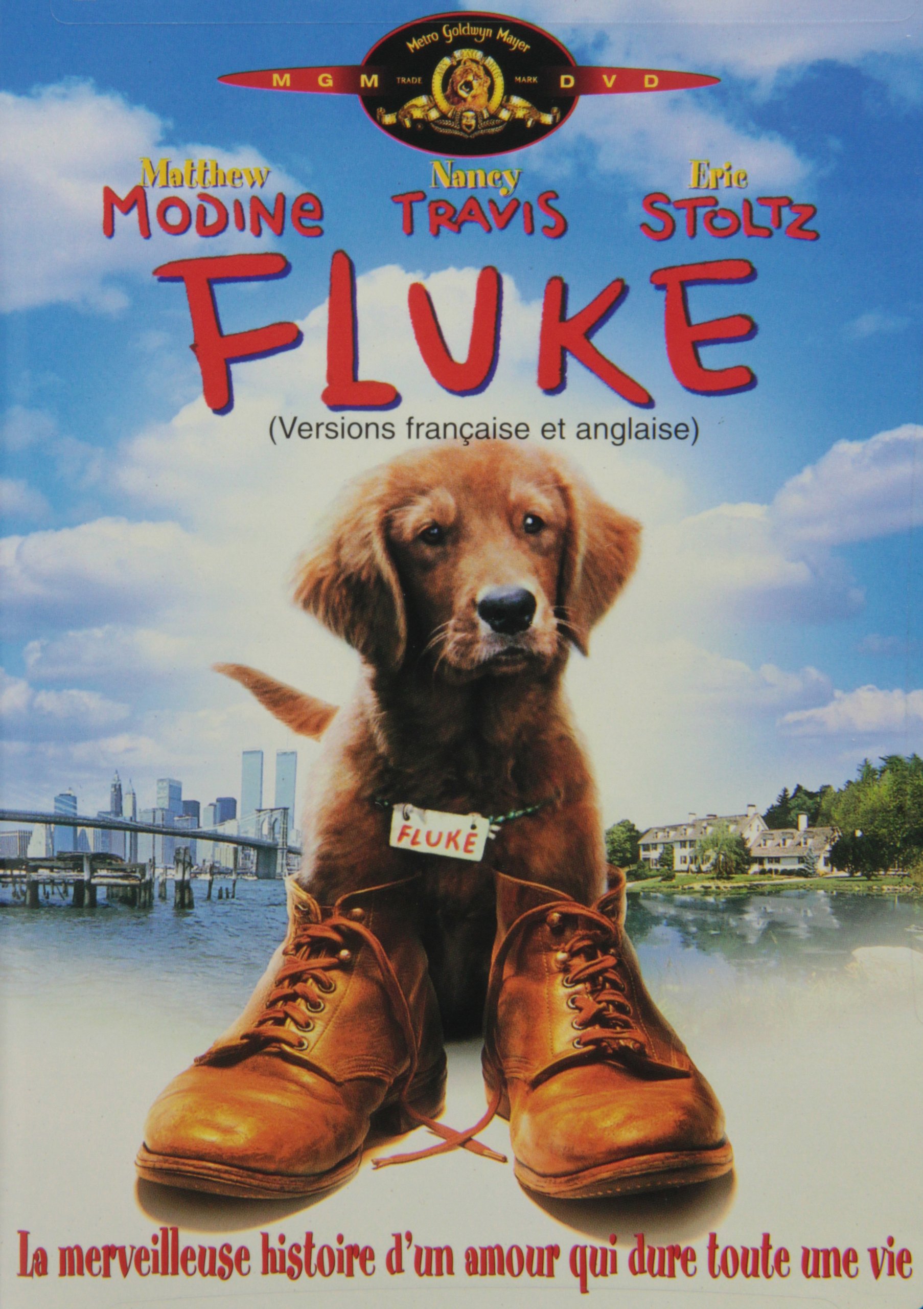 Fluke (Bilingual) [DVD]