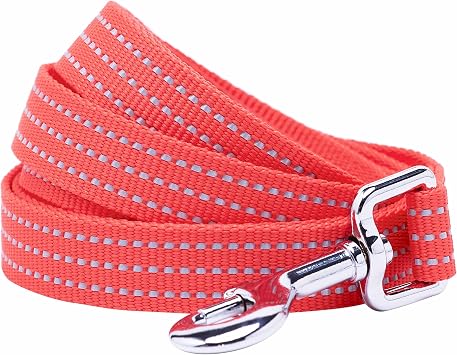 Blueberry Pet Essentials Reflective Better Basics Dog Leash, Fiery Red, 5 ft x 5/8", Small, Leashes for Dogs