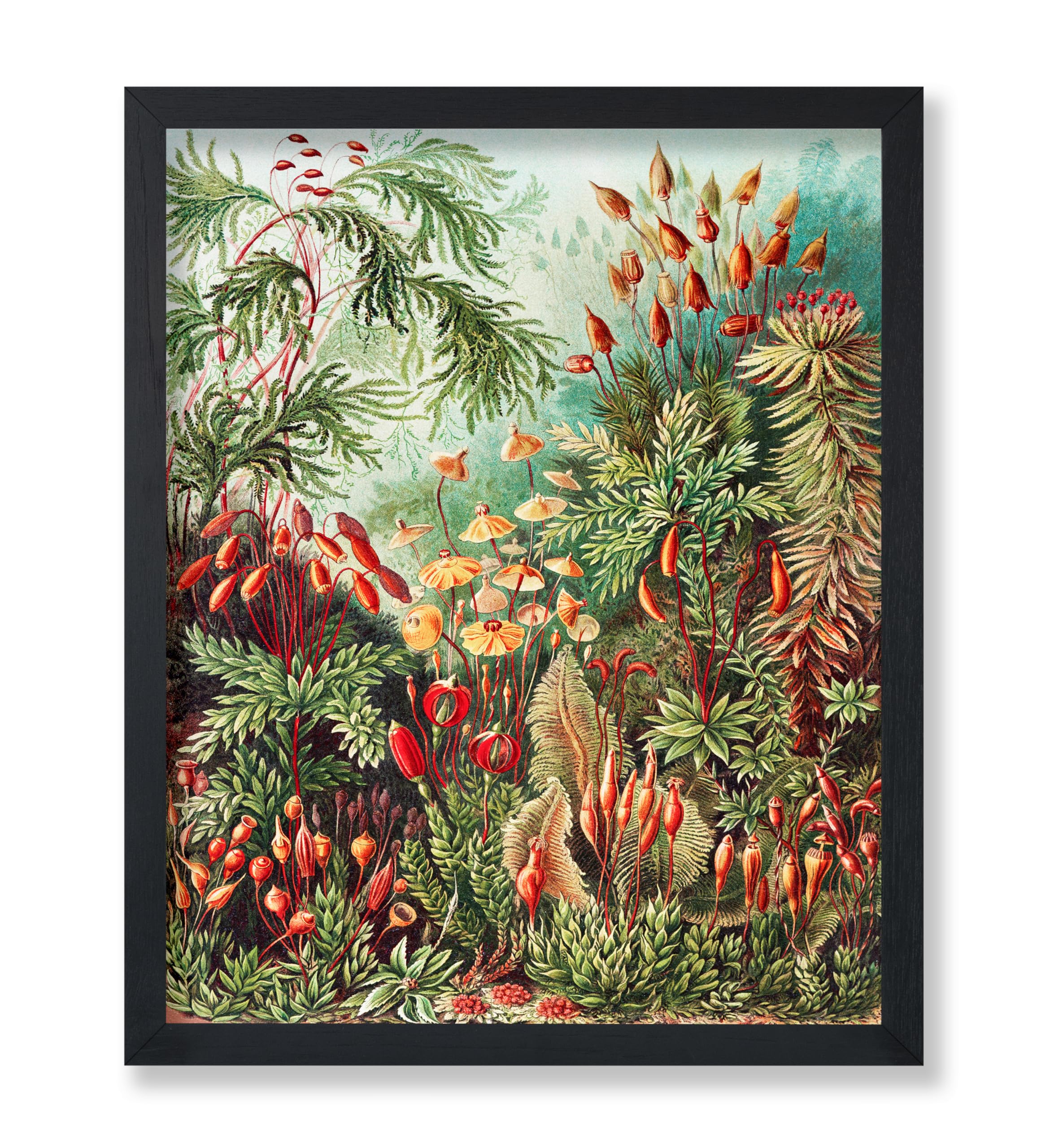 Vintage Muscinae Moss Art: A Botanical Design Masterpiece