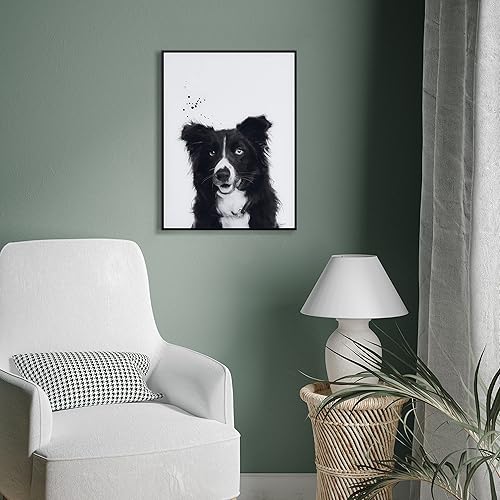 Miniatura 4 de Empire Art Direct Border Collie - Arte de pared de perro blanco y negro sobre vidrio impreso recubierto con un marco anodizado negro, listo para