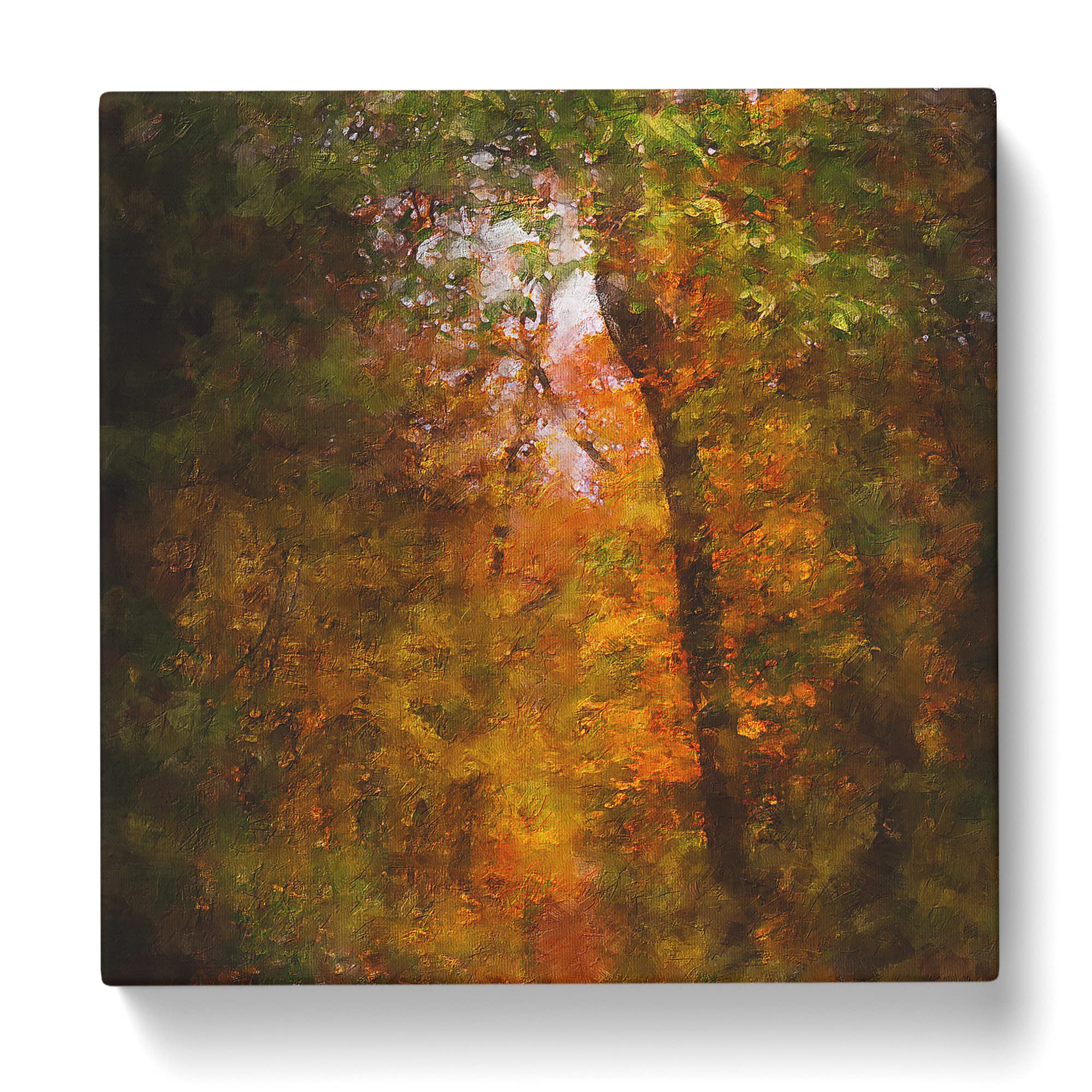 Path Through the Forest Canvas Print, Mixed, 35L x 35W cm - Image 3