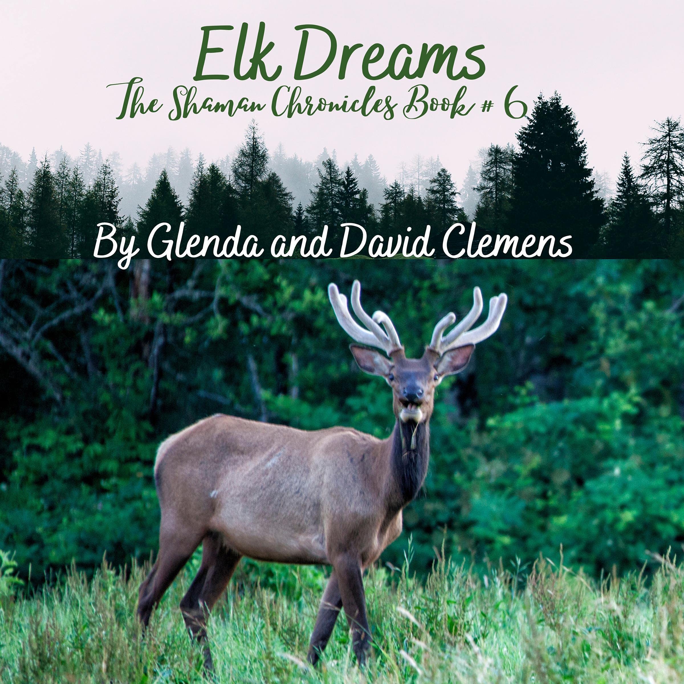 Cover art for Elk Dreams
