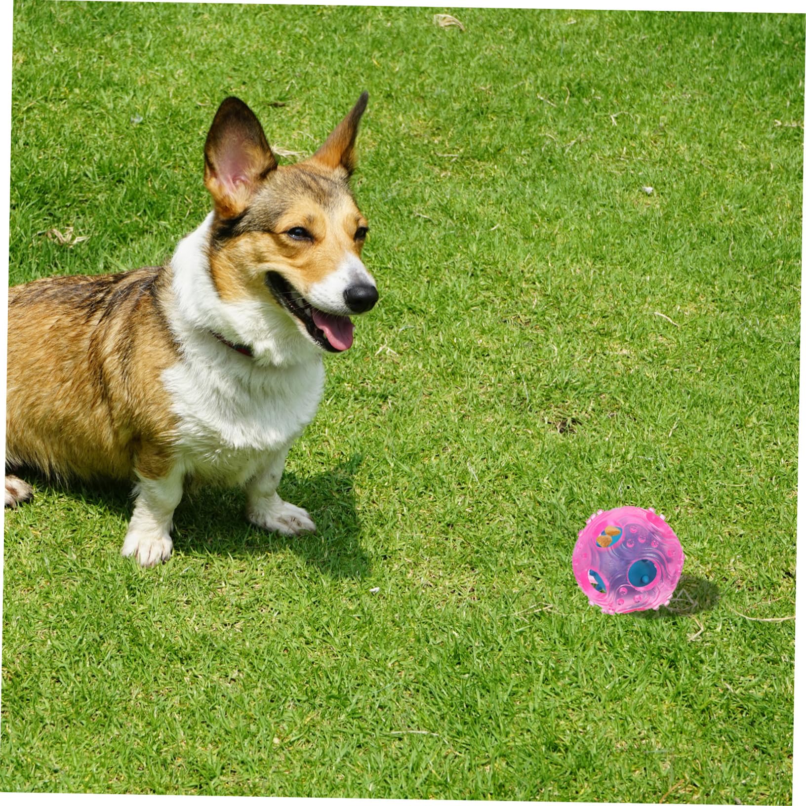 FRCOLOR 3piezas Pelota Interactiva De Dispensa De Comida Para Perros Juguete De Goma Para Entrenamiento y Ejercicio Color Aleatorio