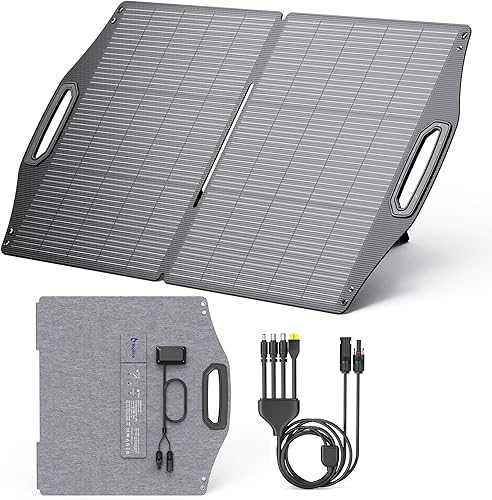 Paneles solares ETFE potables de 100 W, BigBlue Solarpowa100 Panel solar plegable (24.6 V4.16 A) con soporte, compatible con JackeryECOFLOWAnkerGoal