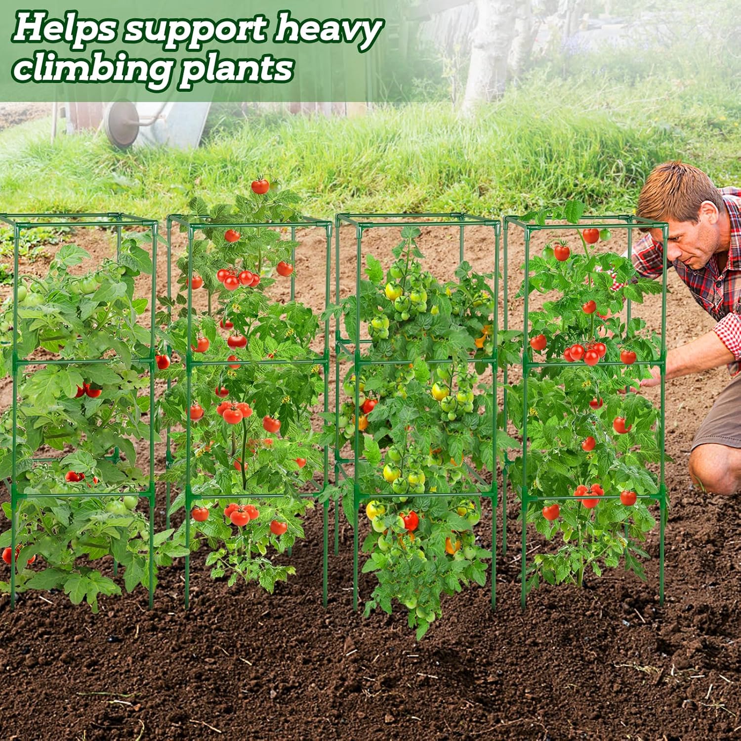 PAMASE Tomato Cages for Garden - 45x14.5x14.5in Square Tomato Plant Support Pole, Heavy Duty Steel Plant Tower Stakes Cucumber Trellis for Climbing Vegetable Flowers Fruits, 4 Pack