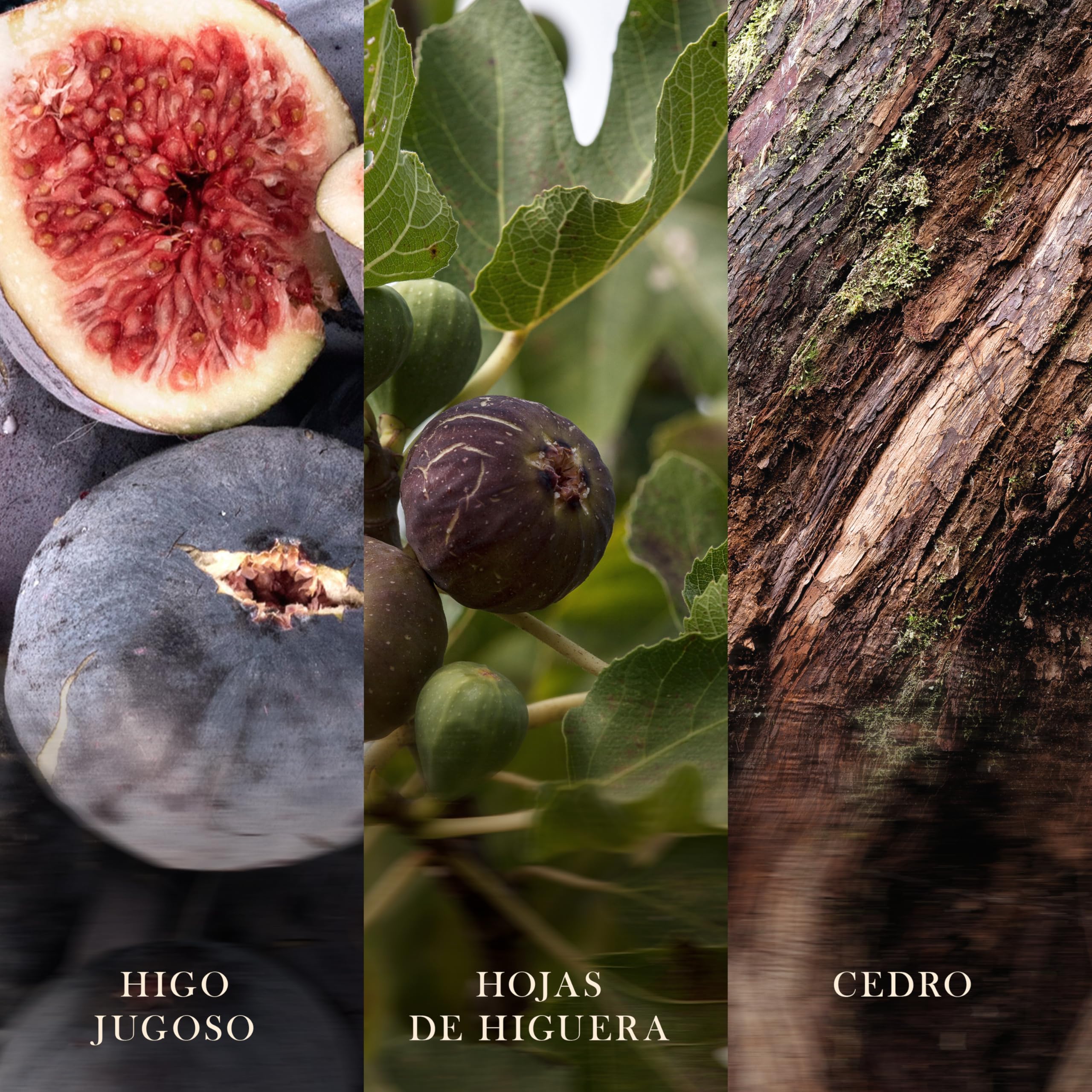 WoodWick | Vela Elíptica | Higo Verde | Gran regalo para mujeres