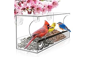 Unique Gifts for Elderly in Nursing Homes: The Captivating Window Bird Feeder
