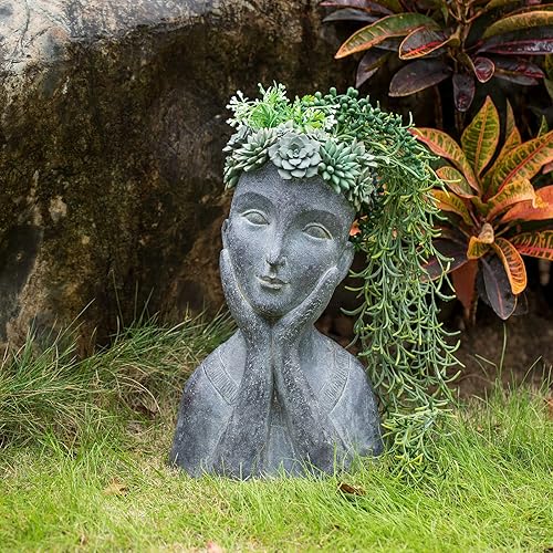 Newman House Studio Maceta de cactus para suculentas, maceta para interiores y exteriores con agujero de drenaje, estatuas de jardín, bonitas