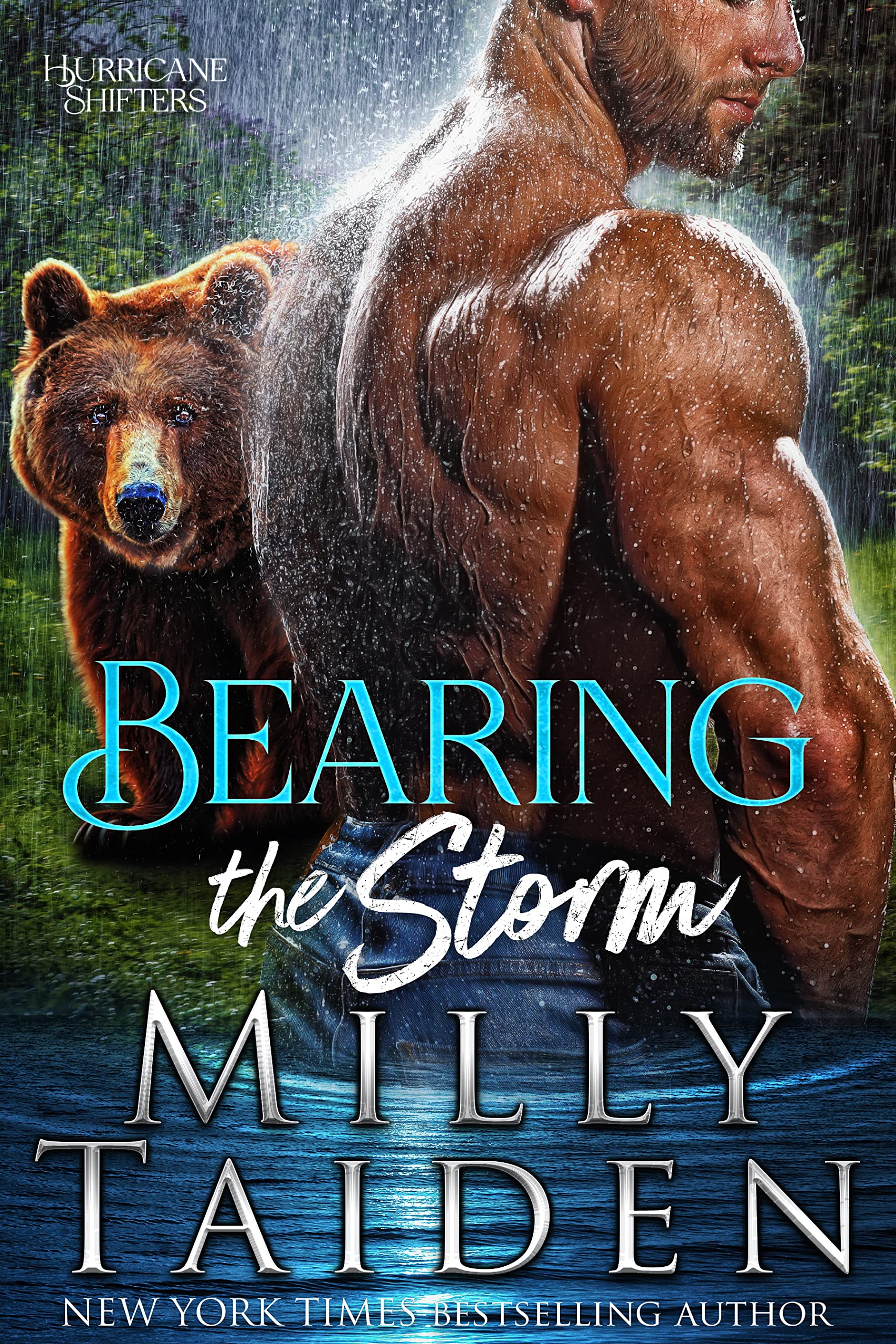 Cover of Bearing the Storm