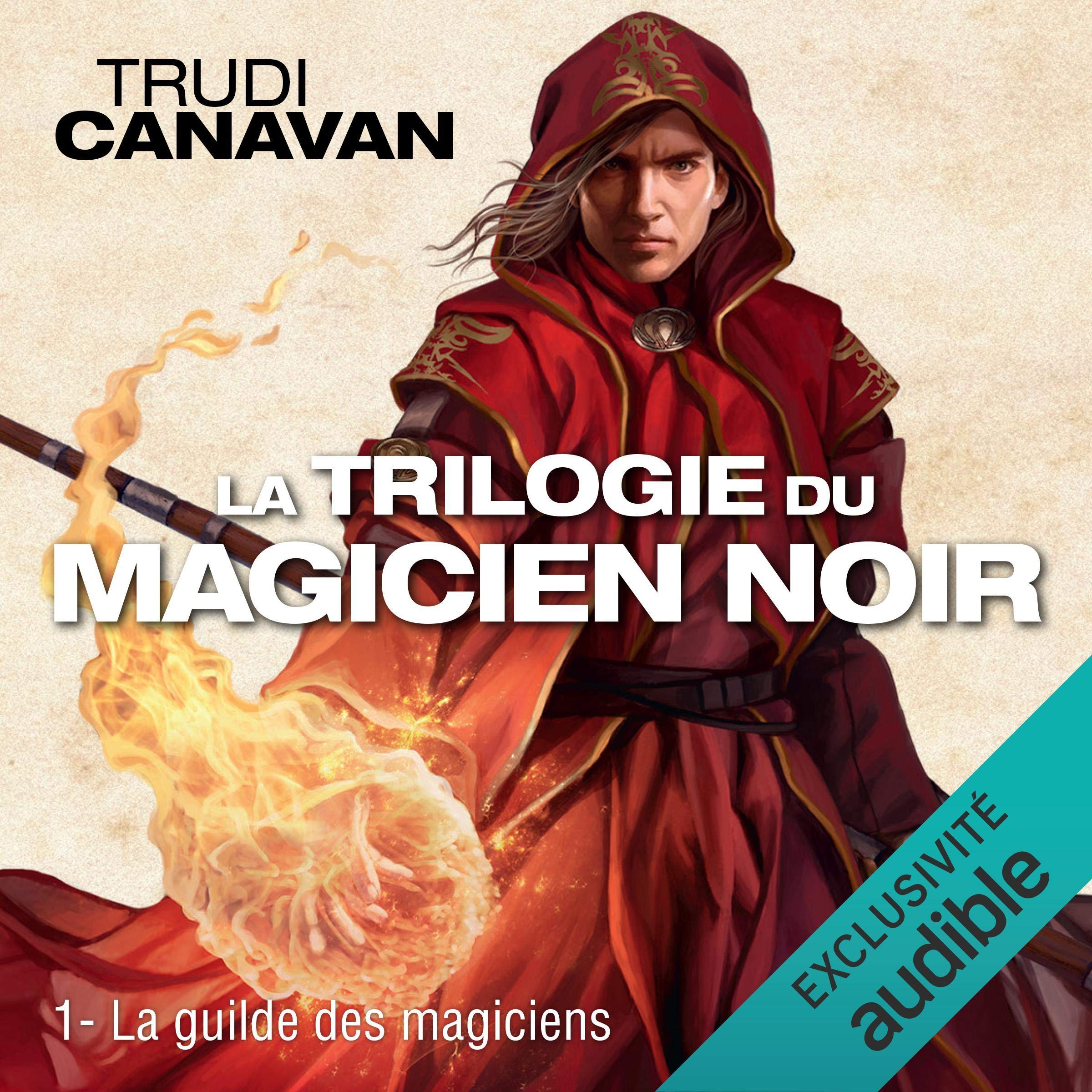 Cover art for La guilde des magiciens