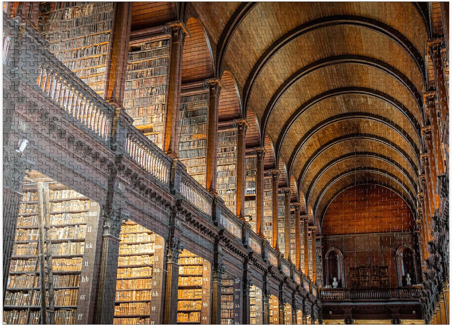 MyPuzzle Books in The Long Room Library, Trinity College Dublin Ireland - Premium 1000 Piece Jigsaw Puzzle for Adults