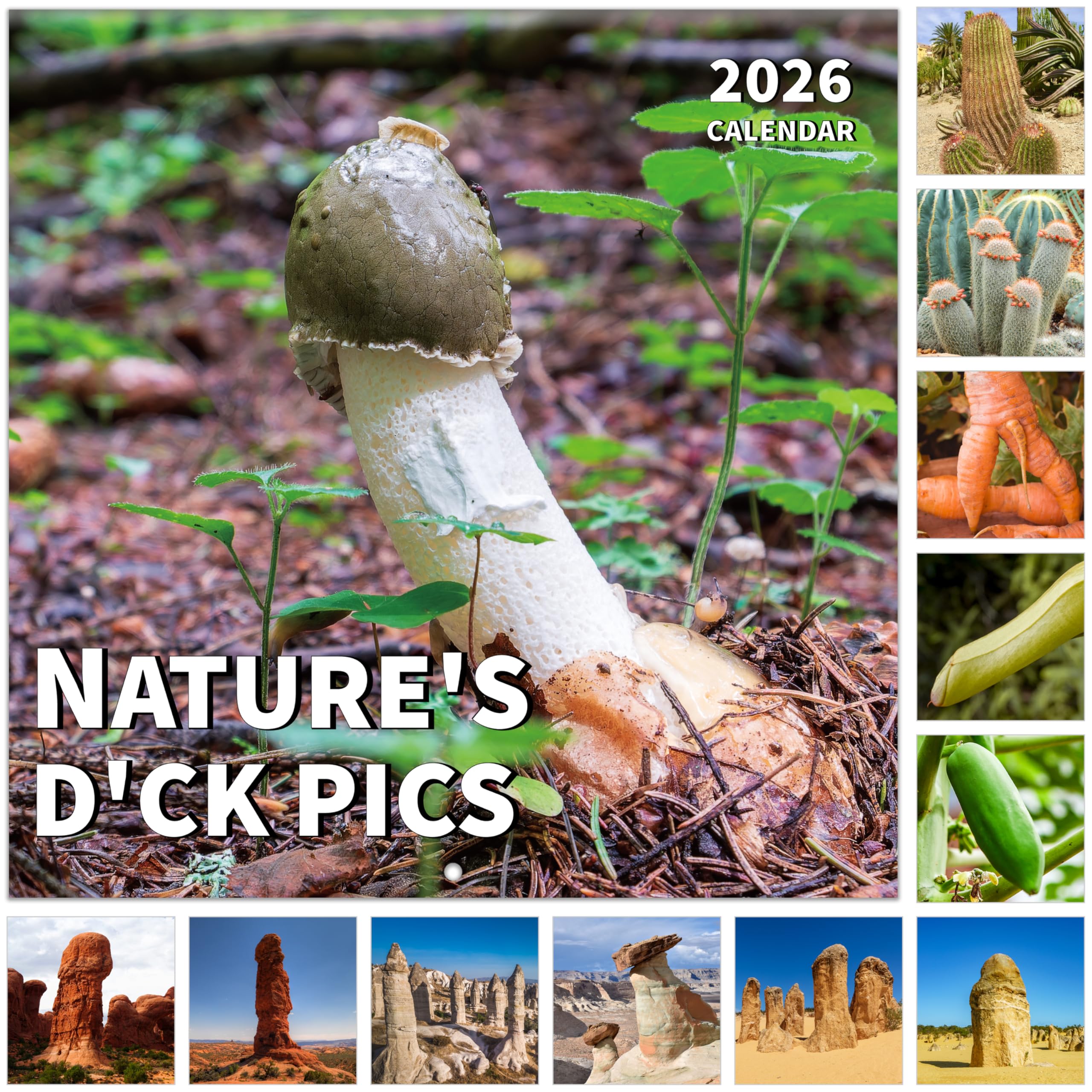 2026 Wall Calendar, 2026 Funny Calendar, Nature's D'ck Pics Calendar, 12 Months from Jan 2026 - Dec 2026, 12" x 24" Open, Thick Paper, Moon Phases, Holidays, Perfect Gag Gifts, White Elephant Gifts