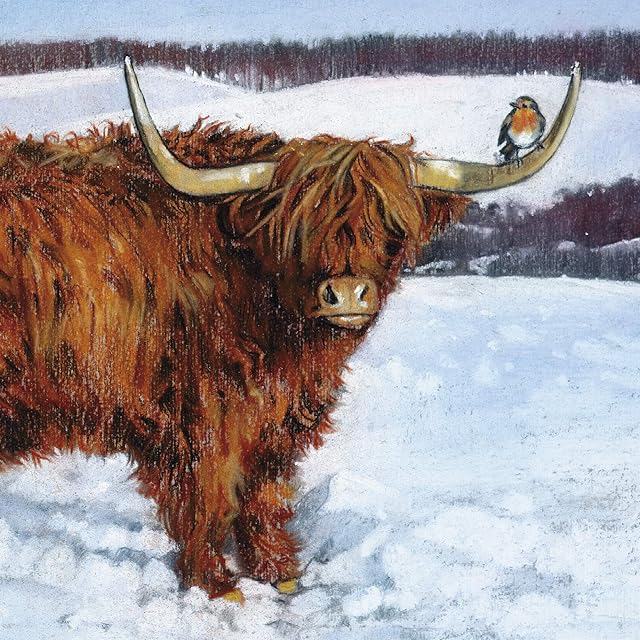Pack of 8 Charity Christmas Cards - Highland Perch, Cows and Robin - 8 Cards of 1 Design - from The Almanac Gallery
