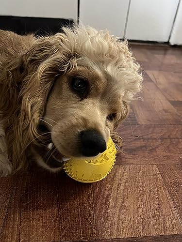 Miniatura 7 de Feed N' Fetch - Pelota interactiva para golosinas  Pelota alimentadora para perros, limpiador de dientes, paquete de 2 juguetes multiusos para