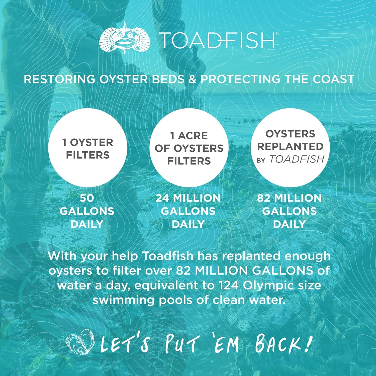 Buy Toadfish Crab Leg Cracker Tool Seafood Shell Cracking Tool