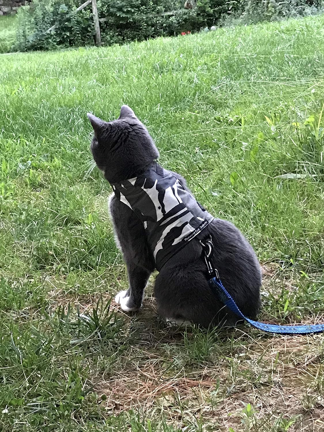 Mynwood Cat Jacket/Harness Arctic Combat Adult Cat