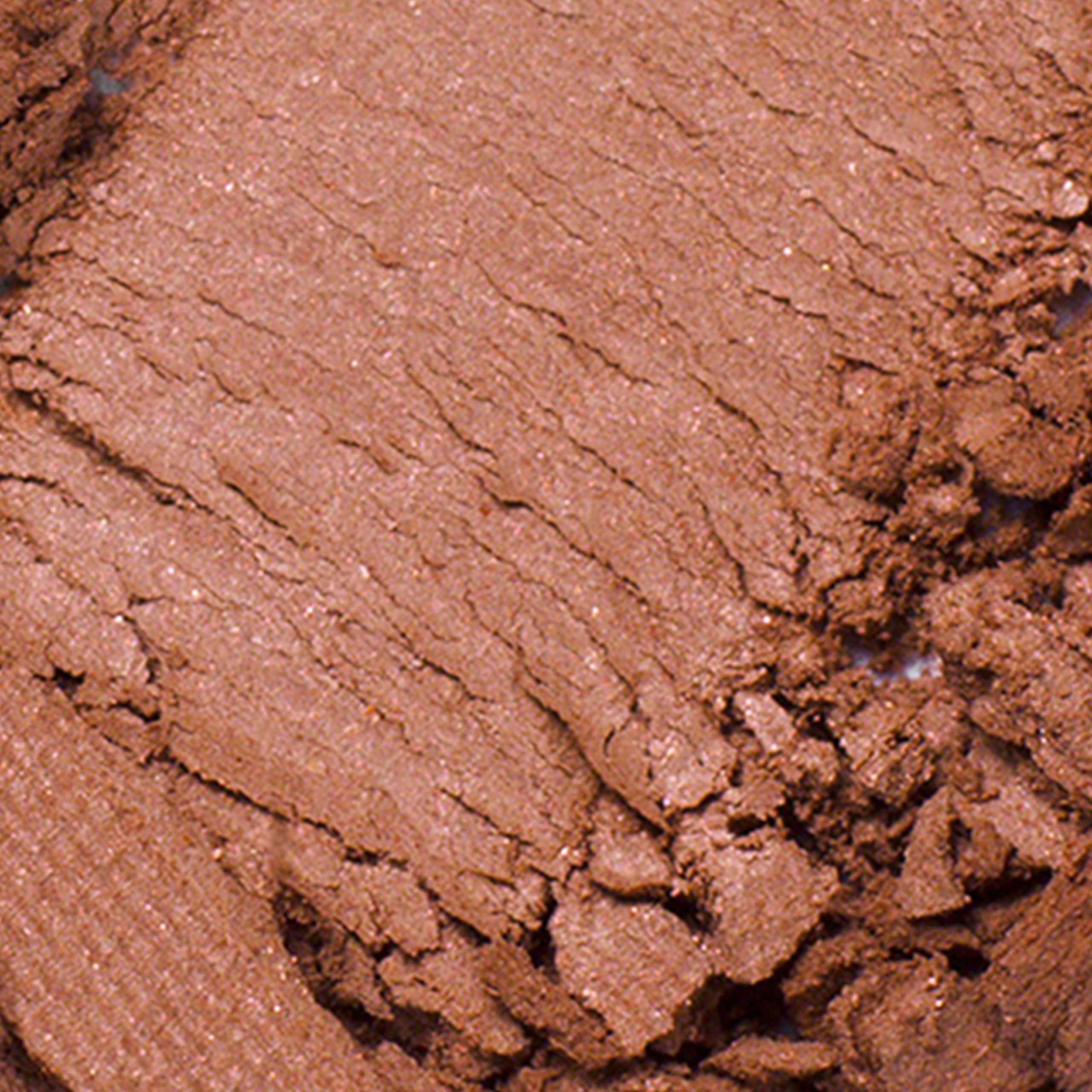 Estée Lauder Bronze Goddess Poudre Bronzante | Fini Mat et Couvrance Modulable, 21g