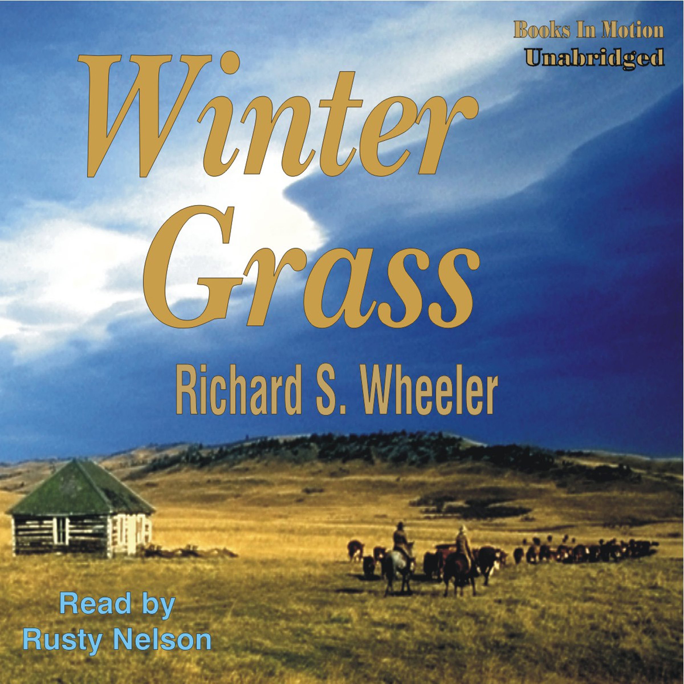 Winter Grass