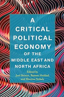 A Critical Political Economy of the Middle East and North Africa (Stanford Studies in Middle Eastern and Islamic Societies and Cultures)
