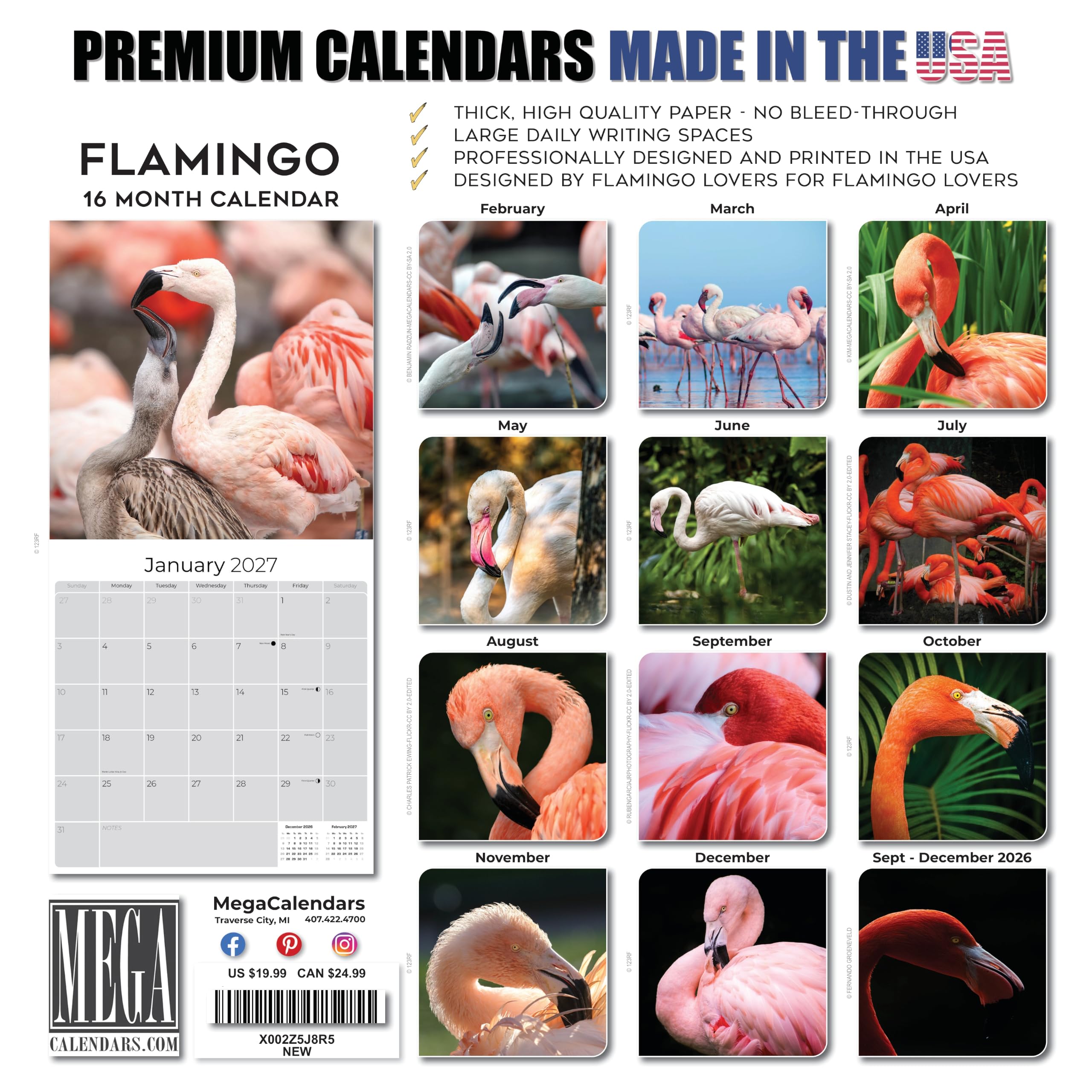 Flamingo Calendar 2021-2022 – Calendario mensual de pared con pájaros de animales – Hecho en Estados Unidos – 12 x 24 (abierto) – Calendario planificador para organizar y planificar
