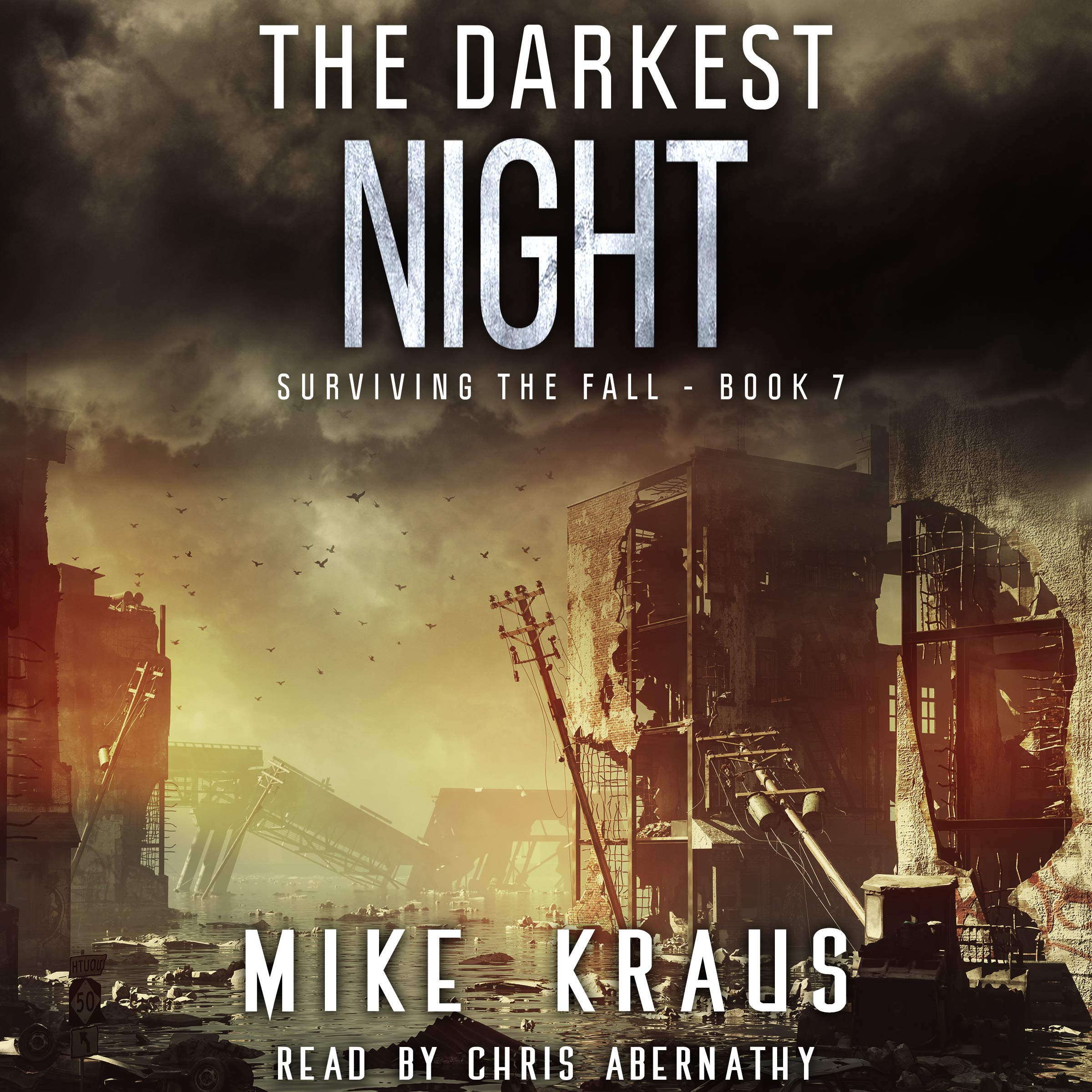 Cover art for The Darkest Night: Surviving the Fall Series, Book 7