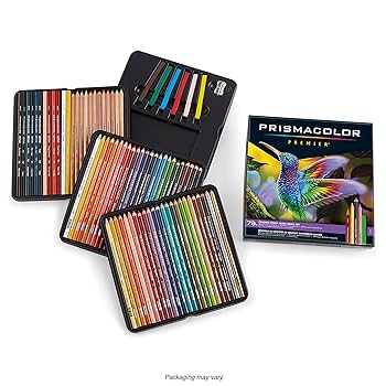 91FvqFSsAbL._UF350,350_QL80_.jpg
