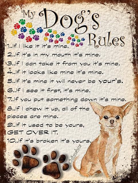 SHAWPRINT MY DOG'S RULES RETRO STYLE METAL TIN SIGN/PLAQUE DOG BREEDS 8" x 6" (CHIHUAHUA)