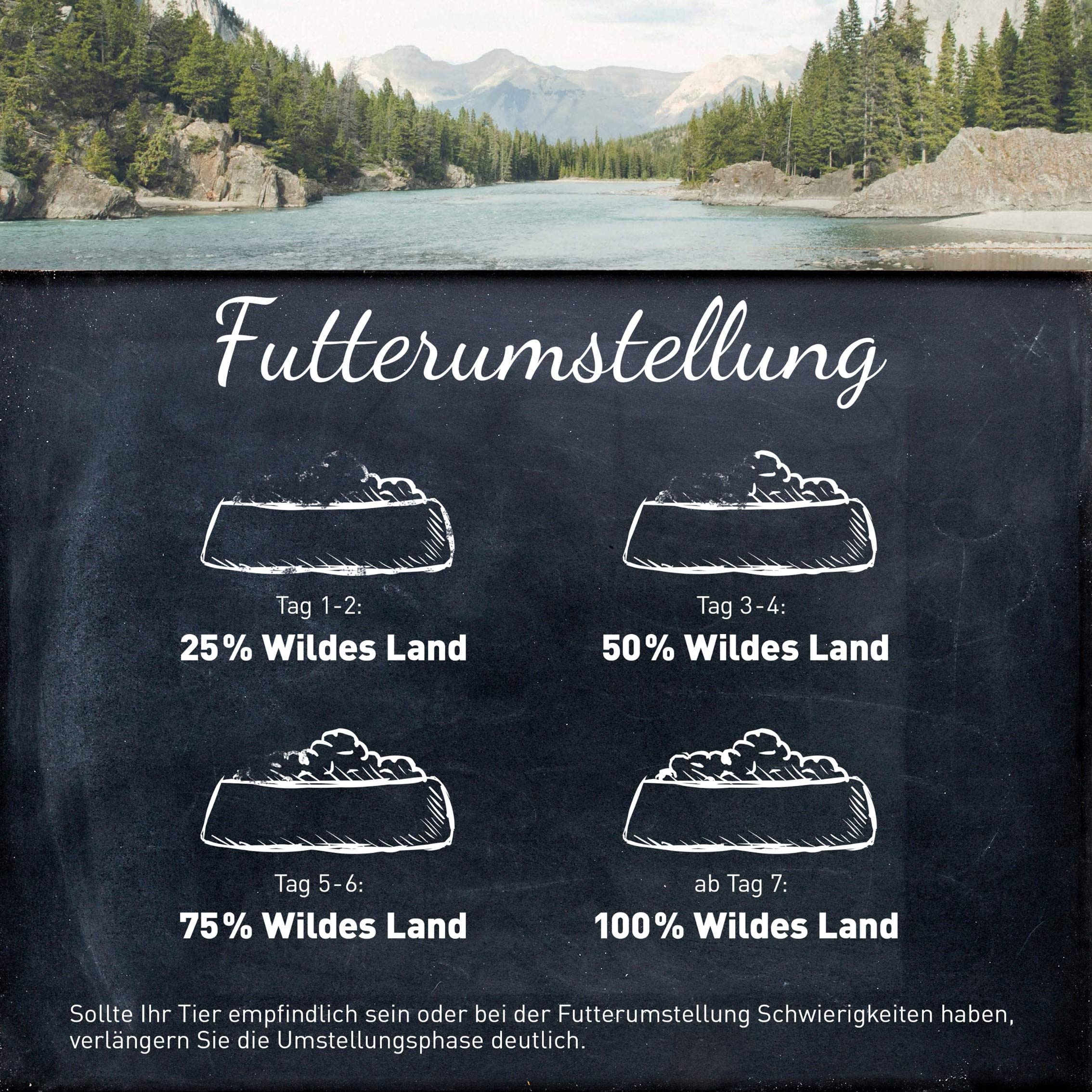 WILDES LAND – Wild | Nassfutter mit extra hohem Fleischanteil und natürlichen Zutaten für ausgewachsene Hunde. Alleinfutter ohne Zusatzstoffe in der Dose | 12x800g Wild