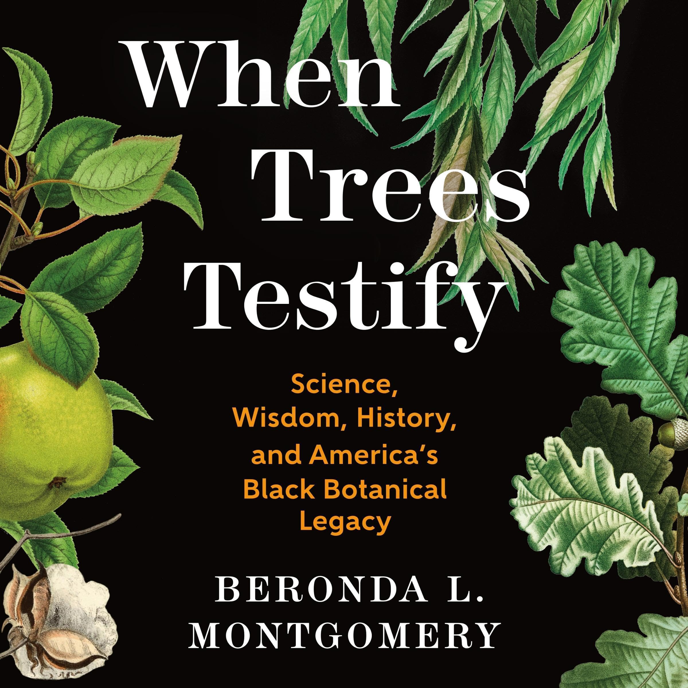 Cover art for When Trees Testify