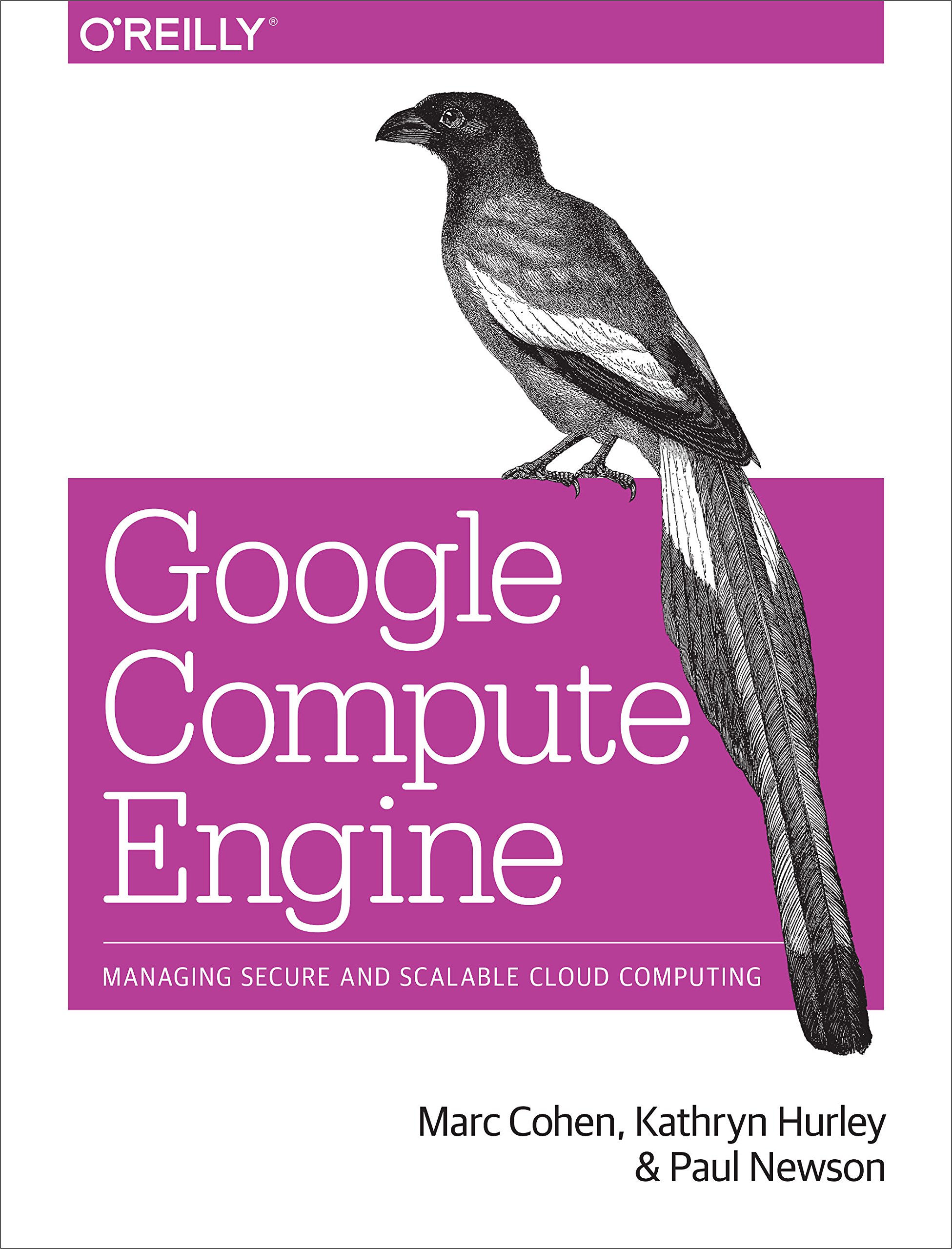 Google Compute Engine Paperback – Big Book, 20 January 2015